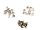 Knopfniete Button Stud altmessing 8 x 10 mm mit Schraube